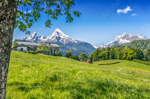 Idyllic landscape in the Alps with green meadows and farm house