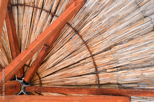 Fototapeta Naklejka Na Ścianę i Meble -  Under the parasol