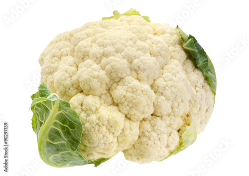 Cabbage vegetable on white