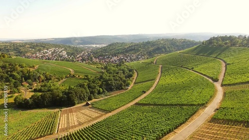 Aerial view of vineyards in Stuttgart, Germany.