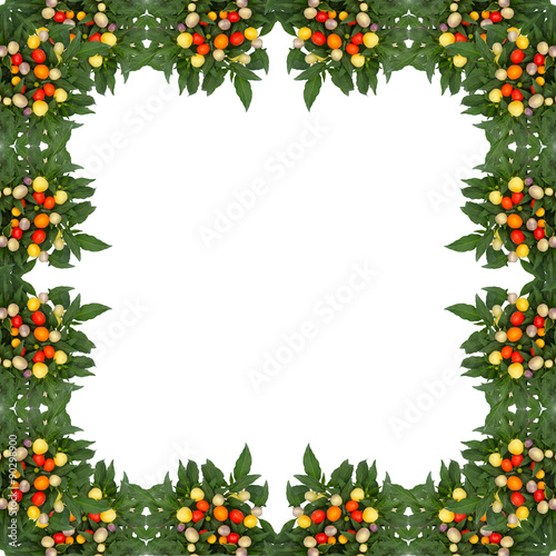 Ornamental Pepper frame isolated on white background