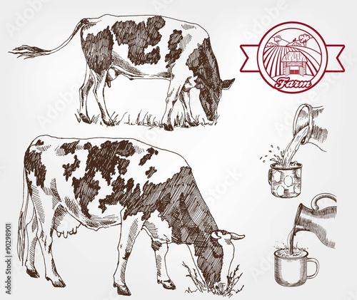 breeding cows