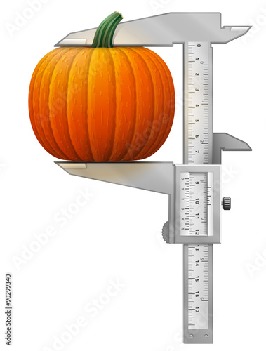 Vertical caliper measures pumpkin. Concept of squash and tool