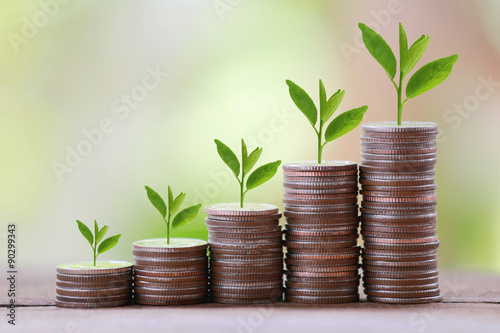 silver coin stack and treetop in business growth concept on wood