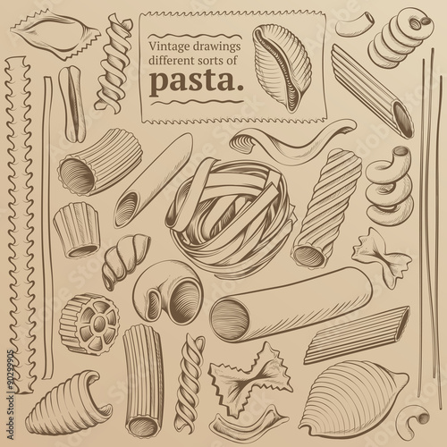 Freehand Vintage Contours Kinds of Pasta