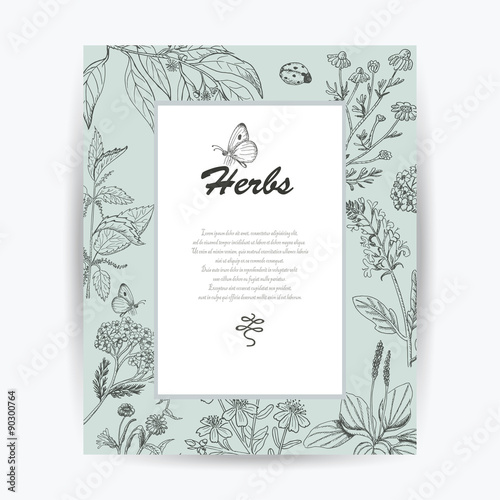 Vector card with herbs and place for your text
