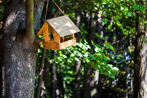 Wooden birdhouse in park, outdoors © O.Farion