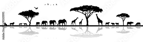 Silhouette Savanne Safari Afrika