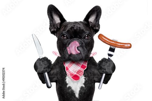 hungry dog  with sausage © Javier brosch