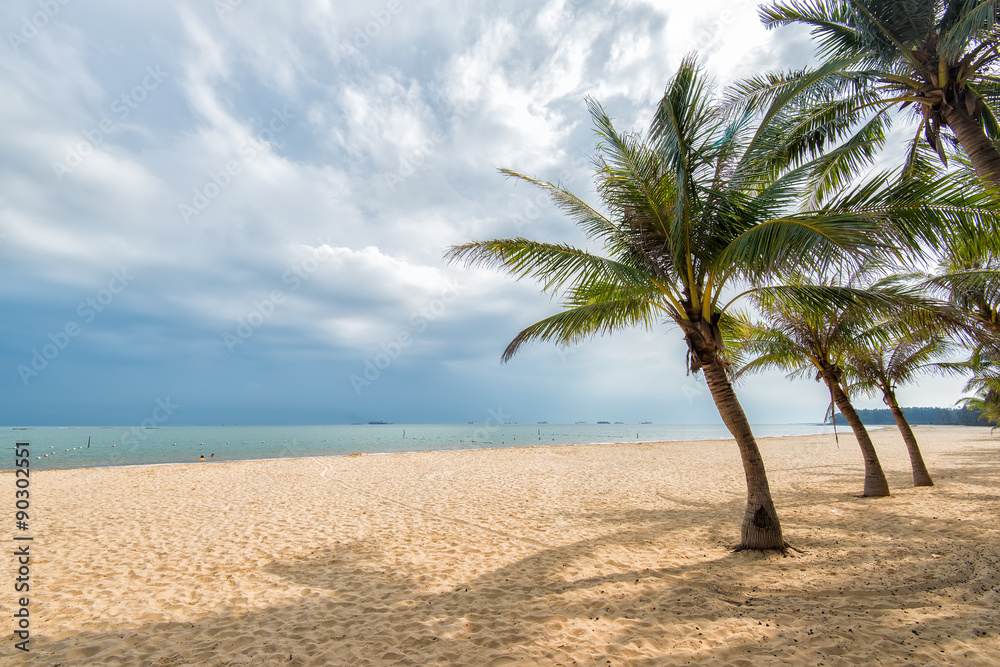Palm tree silhouette on paradise sunset on the beach Palm tree silhouette on paradise sunset on the beach