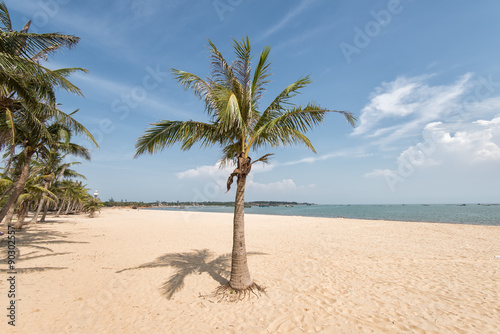 Palm tree silhouette on paradise sunset on the beach