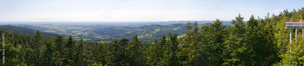 panorama view bavarian forrest germany