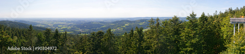 panorama view bavarian forrest germany