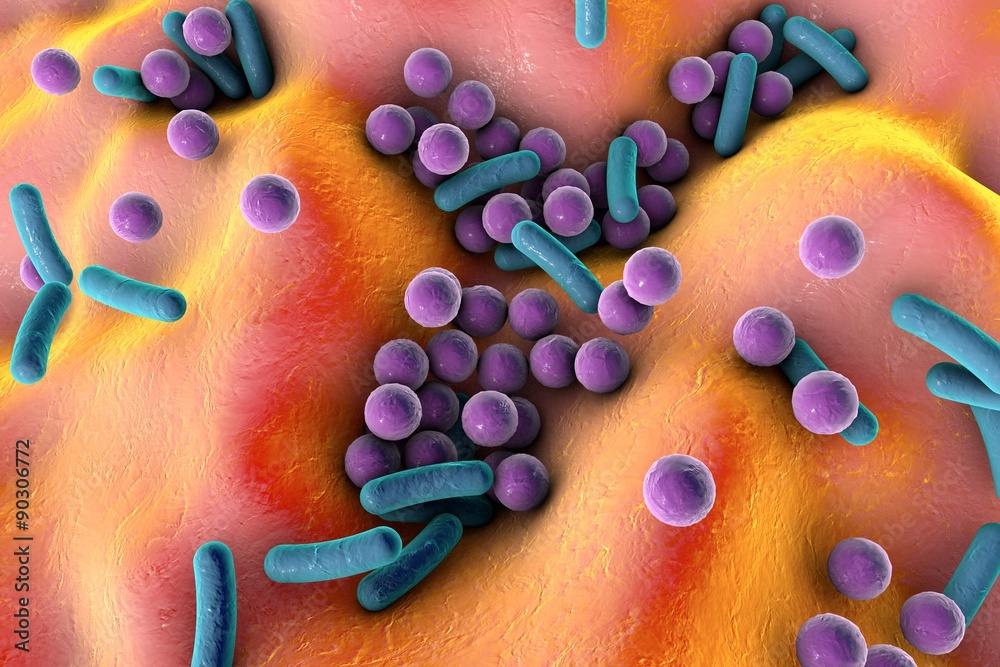 Bacteria on the surface of skin or mucous membrane, model of staphylococcus and streptococcus