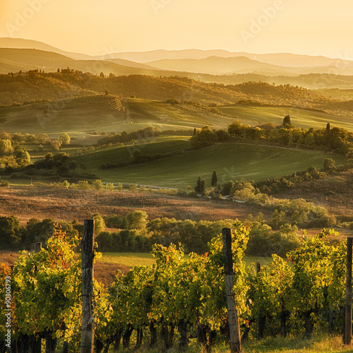 Sunset in Chianti