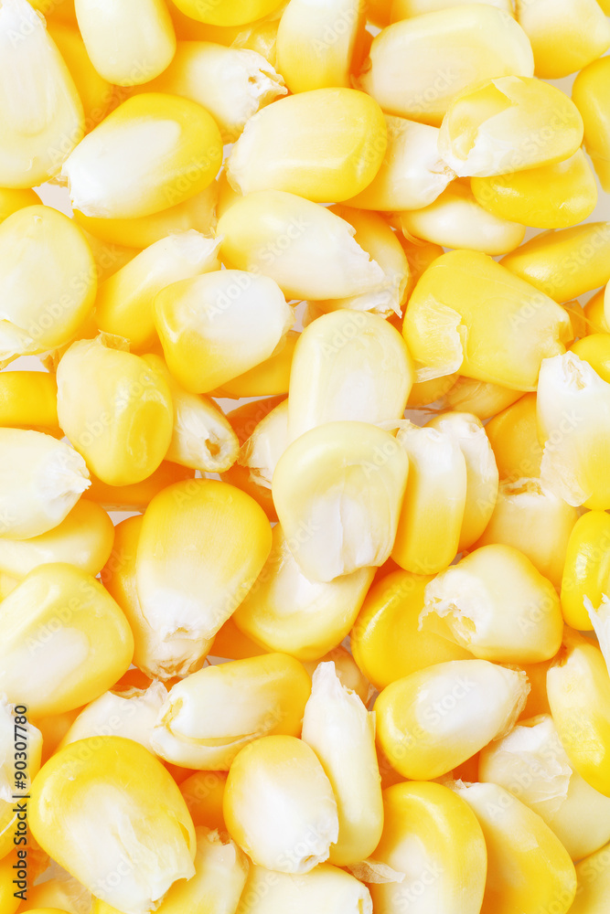 Fototapeta premium Fresh Sweet Corn