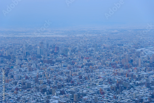 The City of Sapporo, view from Observatory of Mt.Moiwa