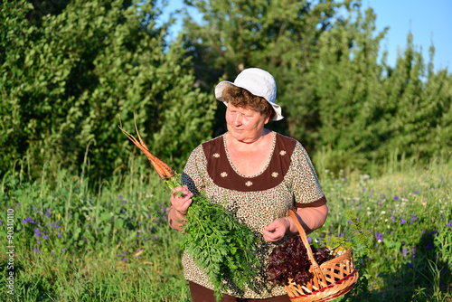  elderly woman with a basket of vegetables on the farm