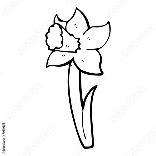 cartoon daffodil