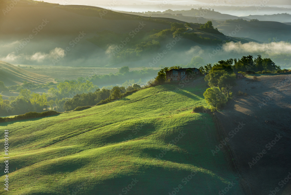Amazing mist on fields in Tuscan rays of sunrise, Italy