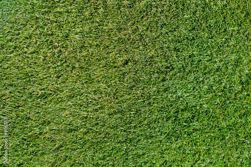 Golf Courses green lawn