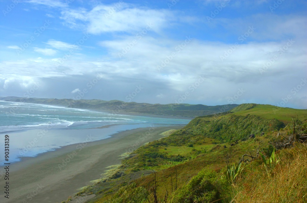 coastliness New Zealand