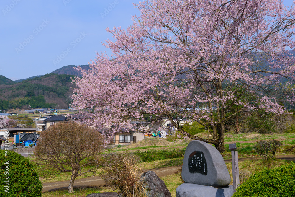 Fototapeta premium Landscape of countryside in Iida city, Nagano, Japan