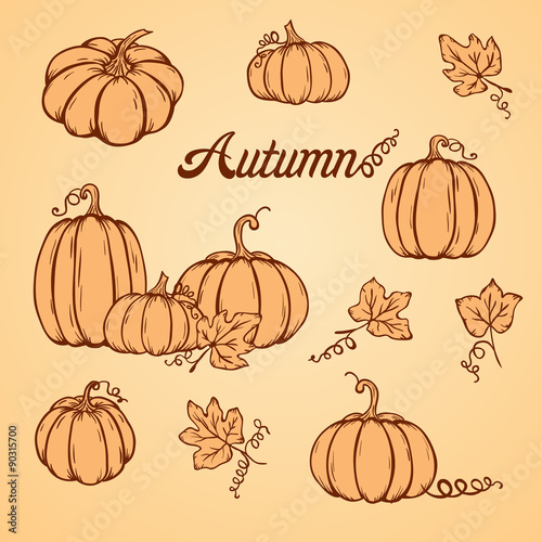 Pattern with pumpkins