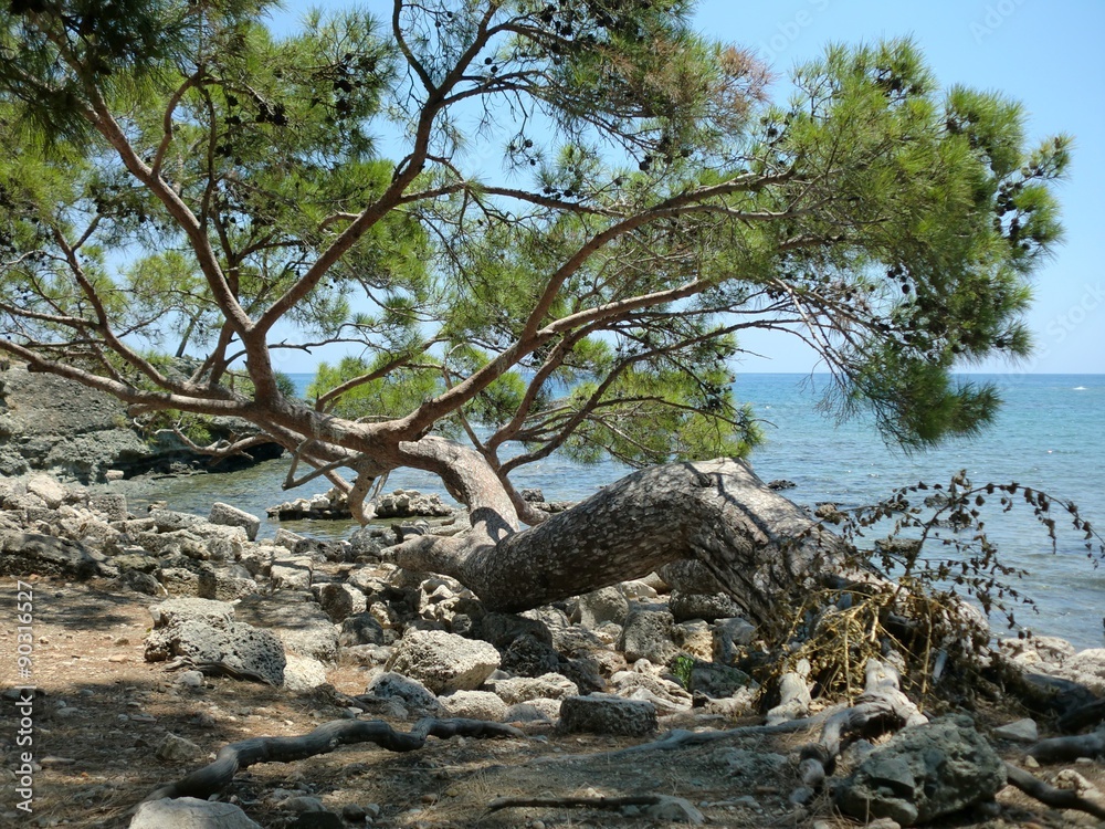 Antalya Phaselis Örenyeri - M.Ö.690 Rodoslular - Sonra Roma