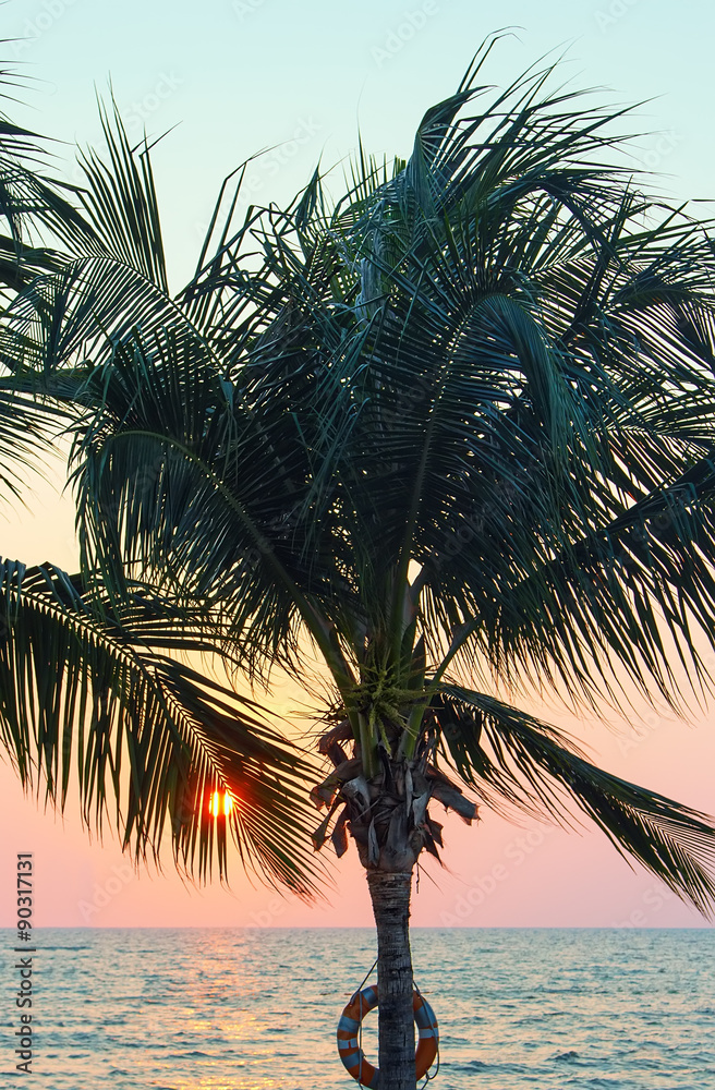 Naklejka premium Palm sun sea sunset