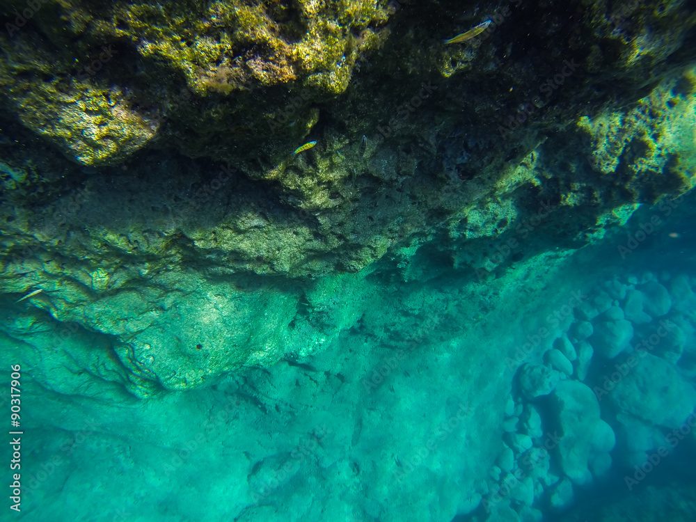 Fototapeta premium snorkerilng in the seas of Sicily