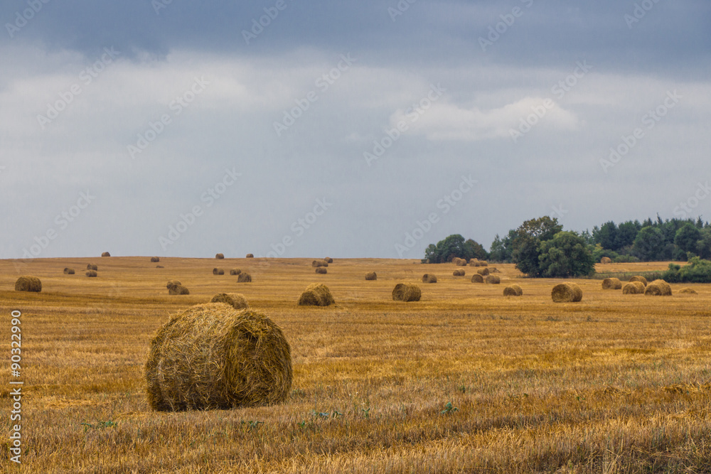 Fototapeta premium Haystack