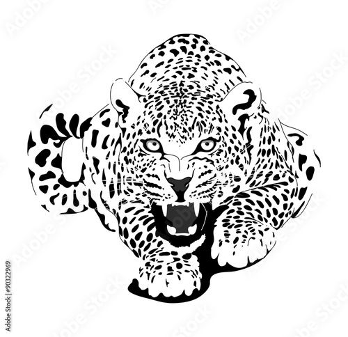 Leopard in black interpretation
