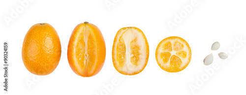 Six oval kumquats in a row closeup. One kumquat is cut in half. Macro photo from above, isolated on white background.