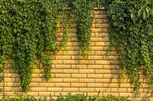 Brick wall with green