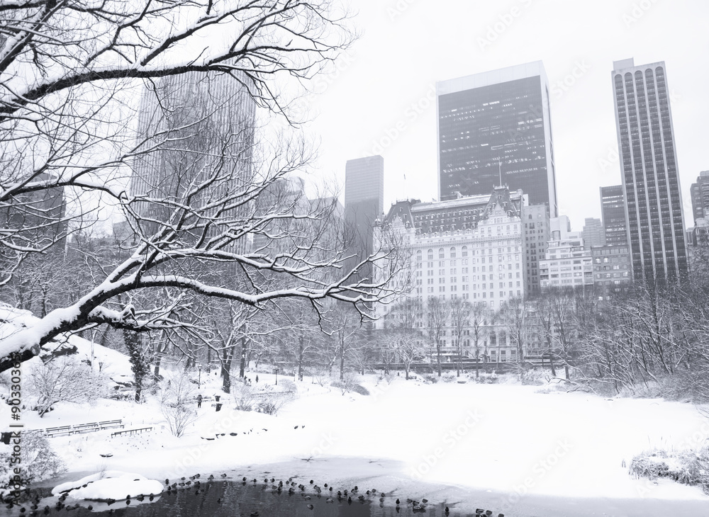 The view looking south across The Pond in Manhattan's Central Park between snow storms. Subtly blue toned black and white image.