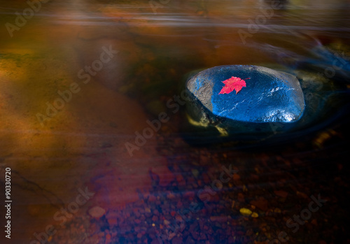 Autumn leaf on boulder