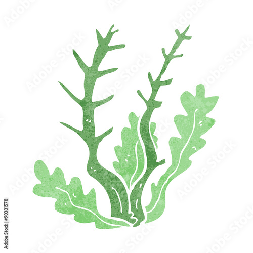 cartoon seaweed