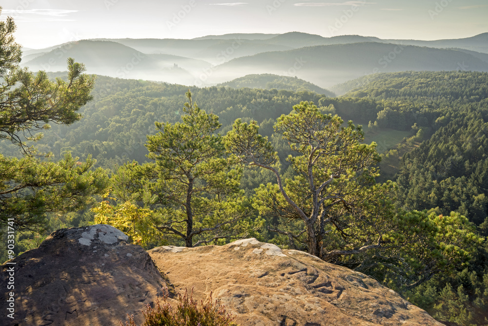 Fototapeta premium Pfälzerwaldpanorama im Morgenlicht