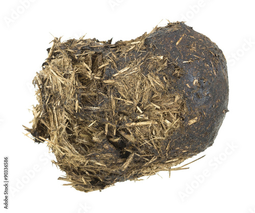 Horse dung isolated on white background