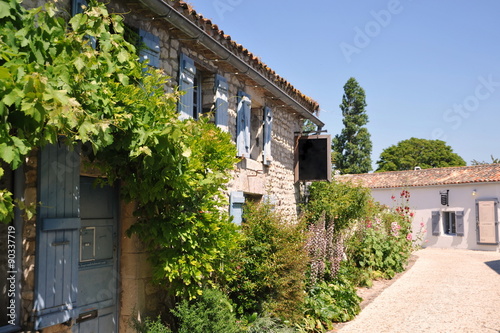 Les ruelles fleuries 3 de Talmont en Gironde  #90337719