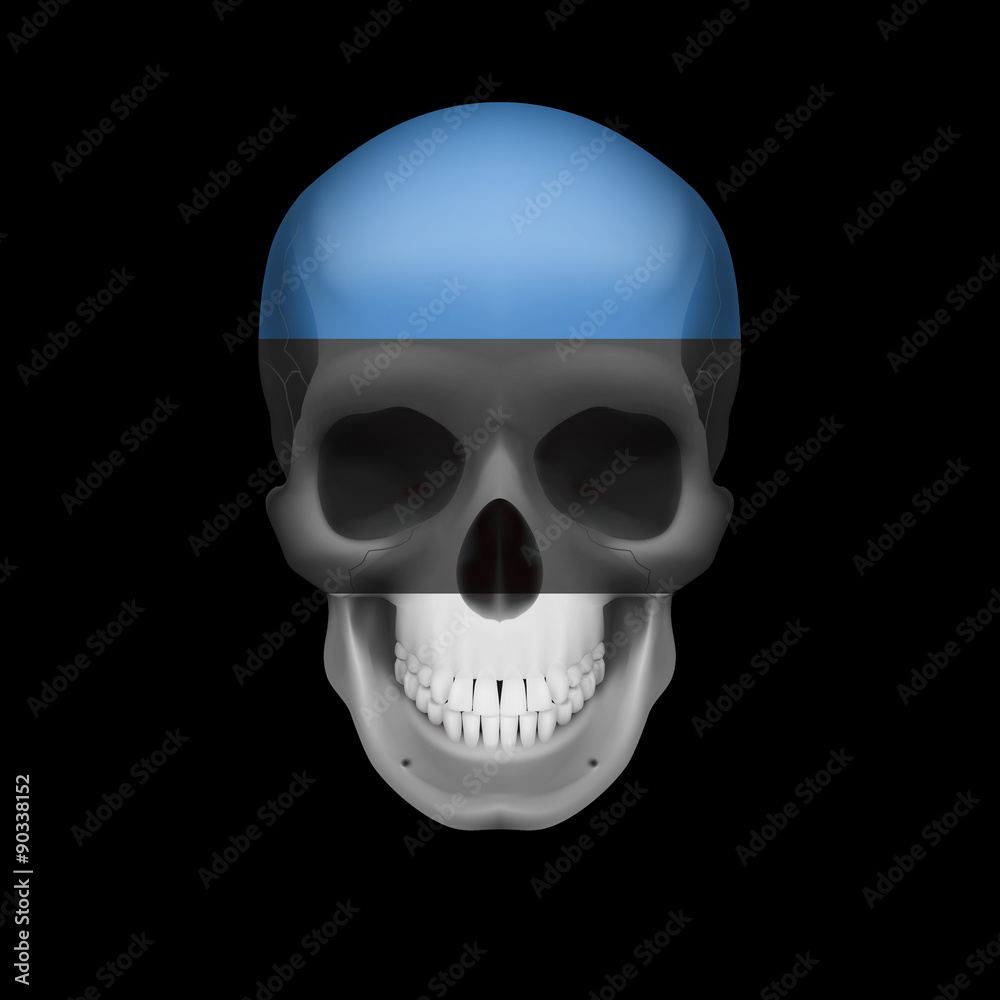 Estonian flag skull Estonian flag skull
