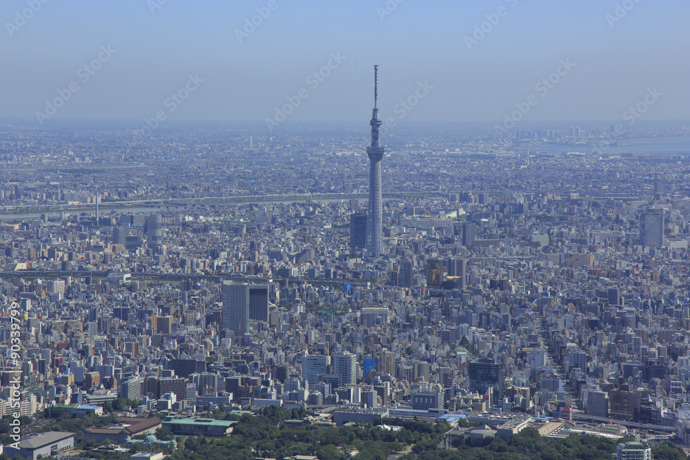 スカイツリー／空撮