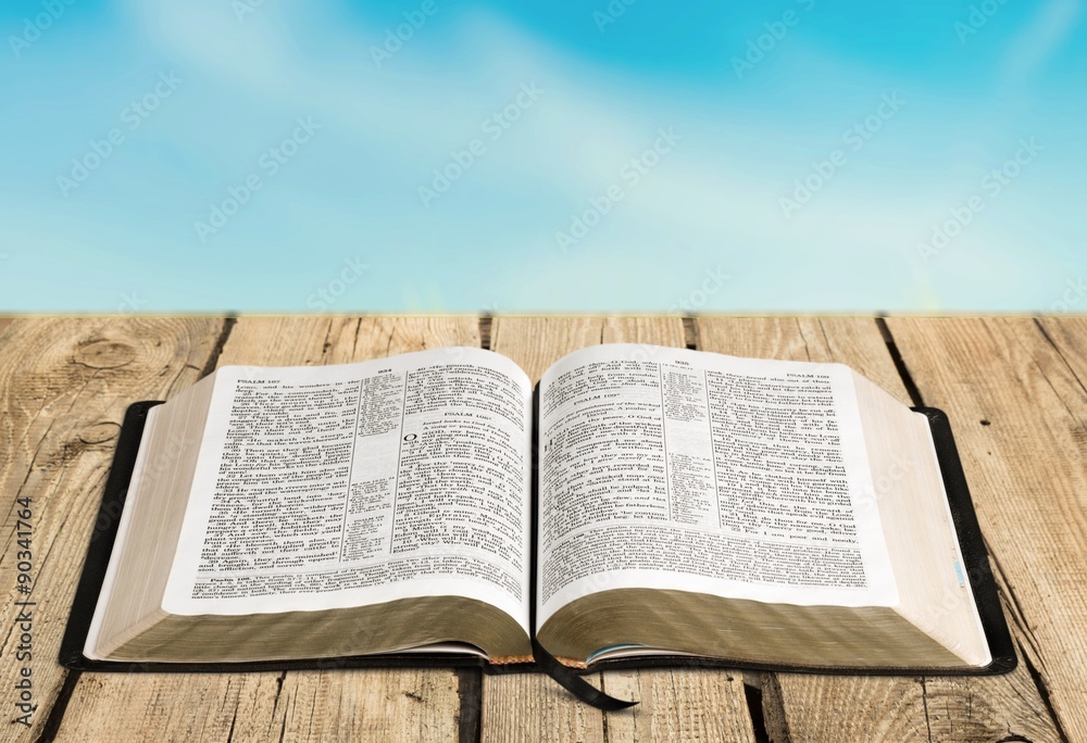 Fototapeta premium Book.