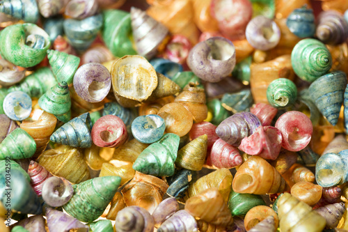 Seashells on Sand