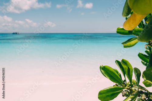 blue sky with beach sea and leaf - film filter