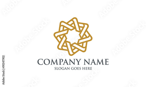 Elegant Star Logo Image Vector