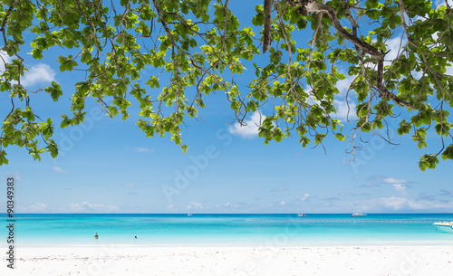 blue sky with beach sea and leaf © topntp