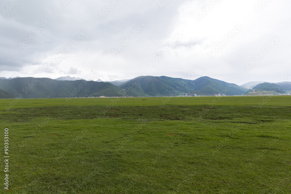 Obraz premium grassland in Shangri-La