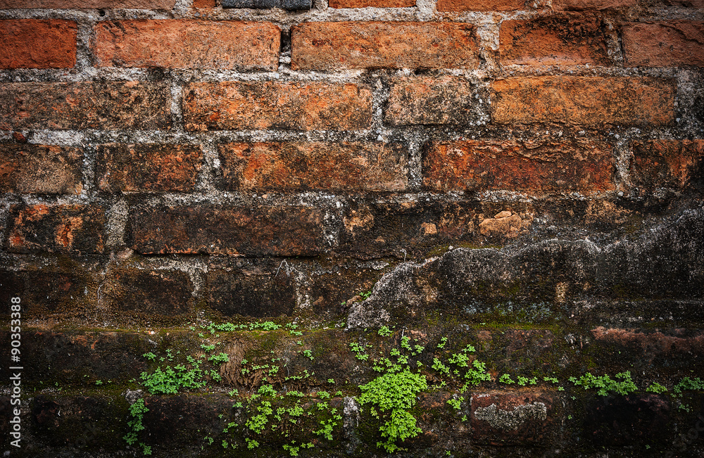 Fototapeta premium Old grunge brick wall dark border